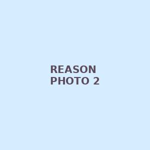 reason photo 2