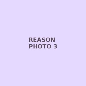 reason photo 3