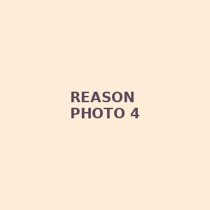 reason photo 4