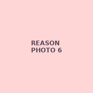 reason photo 6